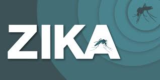 Zika. Studi confermano relazione con microcefalia